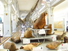 50 мест и событий, которые надо посетить в Петербурге. Часть 2. Осень, зима, весна.