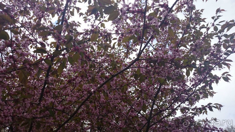 50 мест и событий, которые надо посетить в Петербурге. Часть 2. Осень, зима, весна.