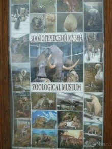 50 мест и событий, которые надо посетить в Петербурге. Часть 2. Осень, зима, весна.