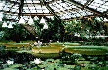 50 мест и событий, которые надо посетить в Петербурге. Часть 2. Осень, зима, весна.