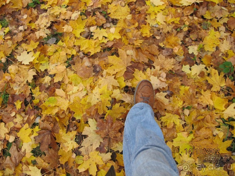 50 мест и событий, которые надо посетить в Петербурге. Часть 2. Осень, зима, весна.