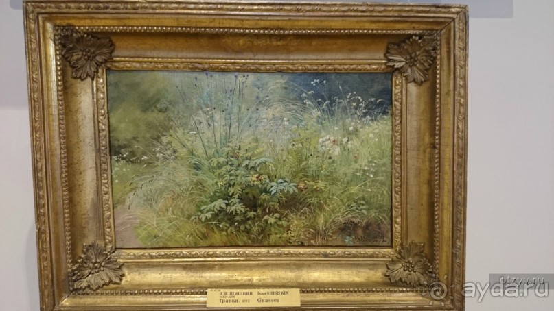 50 мест и событий, которые надо посетить в Петербурге. Часть 2. Осень, зима, весна.