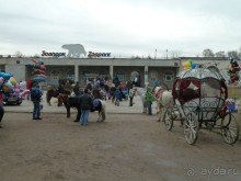 50 мест и событий, которые надо посетить в Петербурге. Часть 2. Осень, зима, весна.