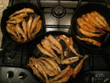 50 мест и событий, которые надо посетить в Петербурге. Часть 2. Осень, зима, весна.