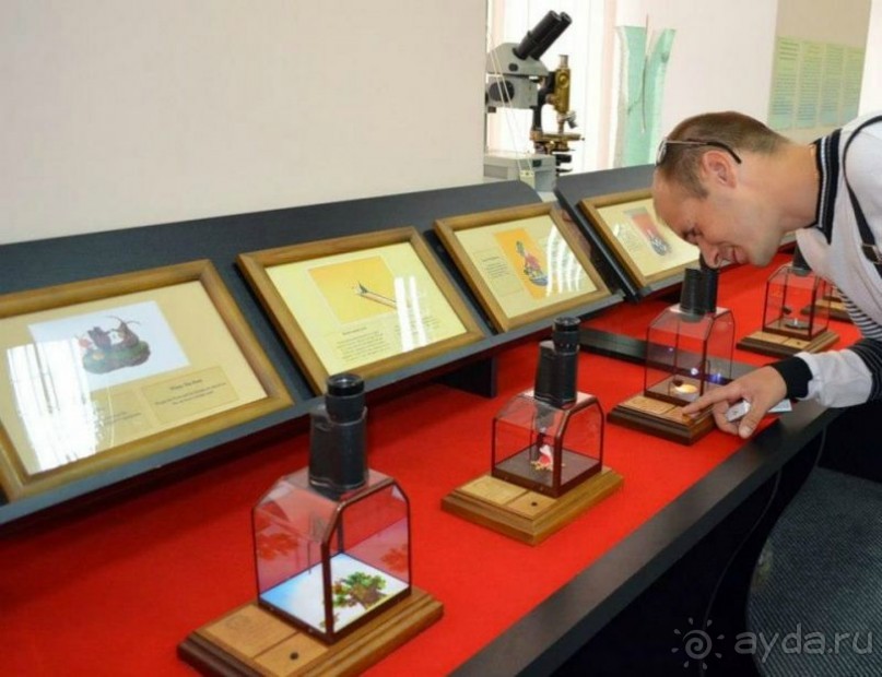 50 мест и событий, которые надо посетить в Петербурге. Часть 2. Осень, зима, весна.