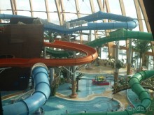 50 мест и событий, которые надо посетить в Петербурге. Часть 2. Осень, зима, весна.