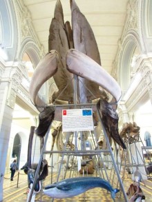 50 мест и событий, которые надо посетить в Петербурге. Часть 2. Осень, зима, весна.