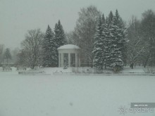 50 мест и событий, которые надо посетить в Петербурге. Часть 2. Осень, зима, весна.