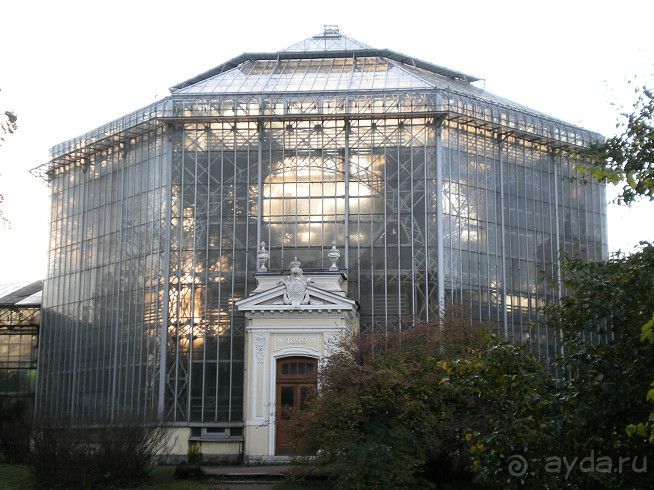 50 мест и событий, которые надо посетить в Петербурге. Часть 2. Осень, зима, весна.