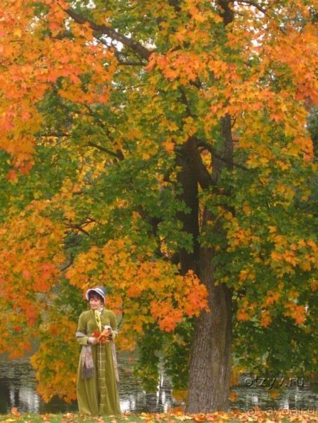 50 мест и событий, которые надо посетить в Петербурге. Часть 2. Осень, зима, весна.