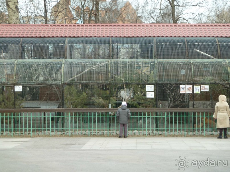50 мест и событий, которые надо посетить в Петербурге. Часть 2. Осень, зима, весна.