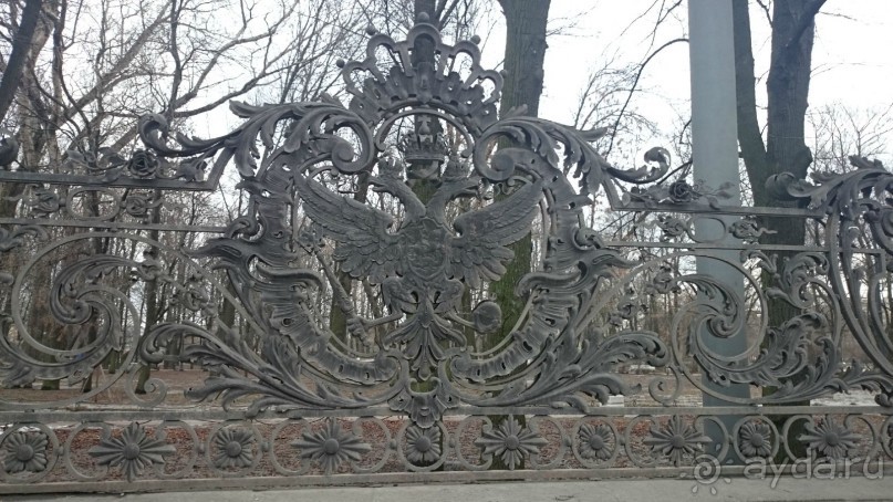 50 мест и событий, которые надо посетить в Петербурге. Часть 2. Осень, зима, весна.