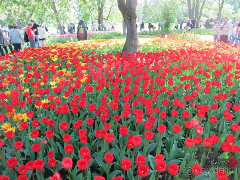 50 мест и событий, которые надо посетить в Петербурге. Часть 2. Осень, зима, весна.