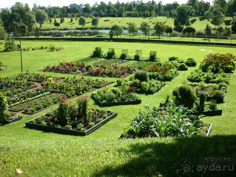 50 мест и событий, которые надо посетить в Петербурге. Часть 2. Осень, зима, весна.