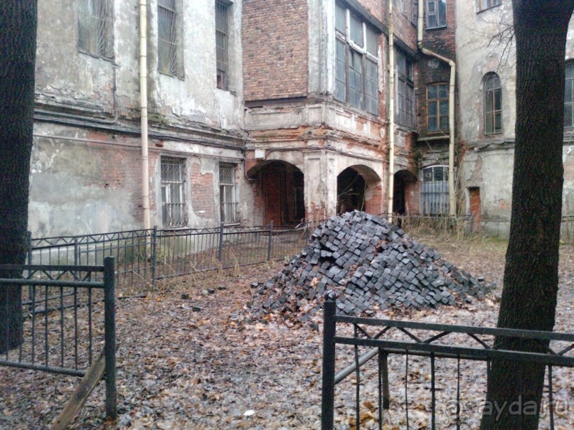 50 мест и событий, которые надо посетить в Петербурге. Часть 2. Осень, зима, весна.