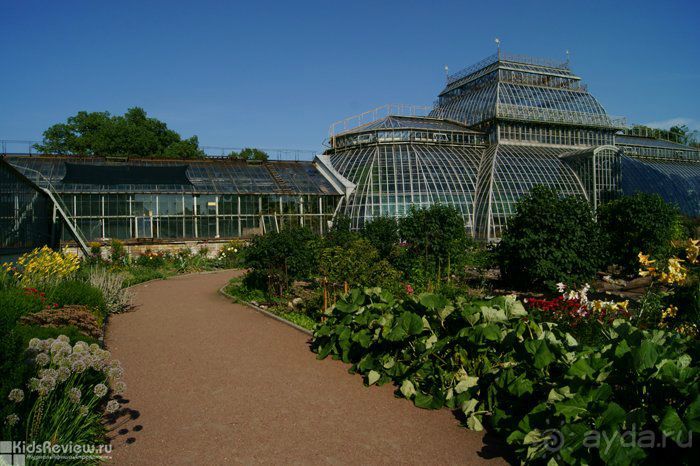 50 мест и событий, которые надо посетить в Петербурге. Часть 2. Осень, зима, весна.