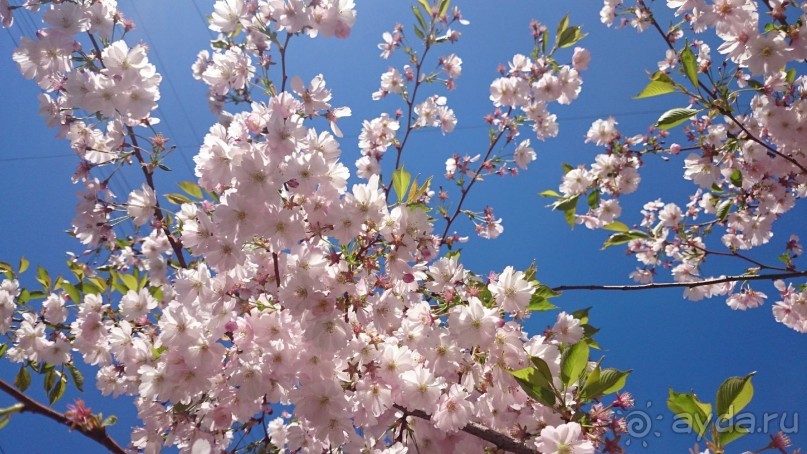 50 мест и событий, которые надо посетить в Петербурге. Часть 2. Осень, зима, весна.