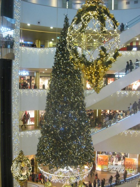 50 мест и событий, которые надо посетить в Петербурге. Часть 2. Осень, зима, весна.