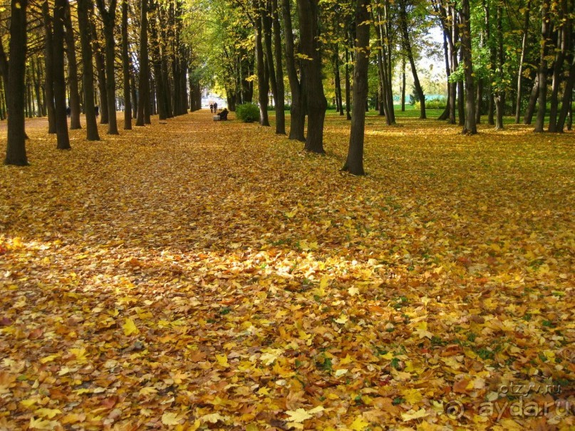 50 мест и событий, которые надо посетить в Петербурге. Часть 2. Осень, зима, весна.