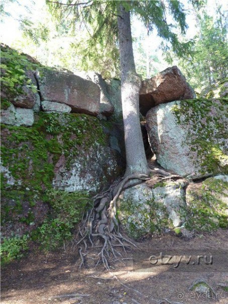 50 мест и событий, которые надо посетить в Петербурге. Часть 2. Осень, зима, весна.