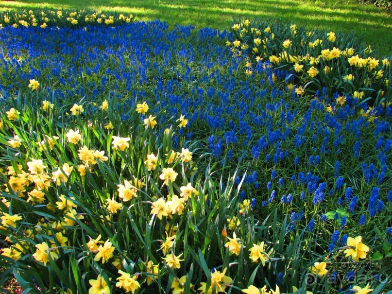 50 мест и событий, которые надо посетить в Петербурге. Часть 2. Осень, зима, весна.