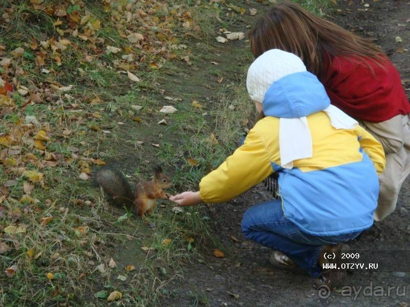 50 мест и событий, которые надо посетить в Петербурге. Часть 2. Осень, зима, весна.