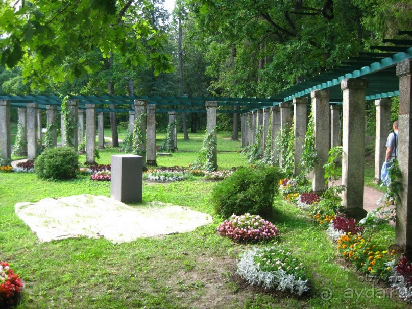 50 мест и событий, которые надо посетить в Петербурге. Часть 2. Осень, зима, весна.