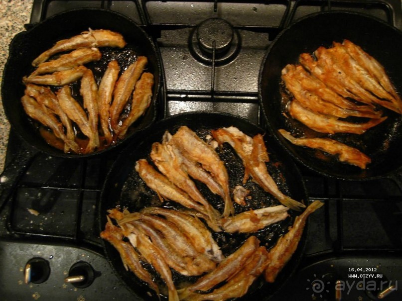 50 мест и событий, которые надо посетить в Петербурге. Часть 2. Осень, зима, весна.