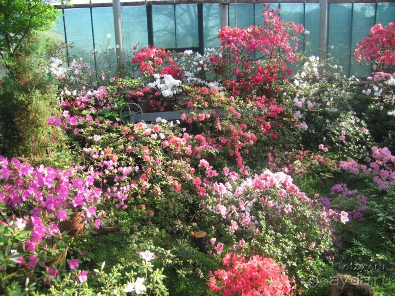 50 мест и событий, которые надо посетить в Петербурге. Часть 2. Осень, зима, весна.