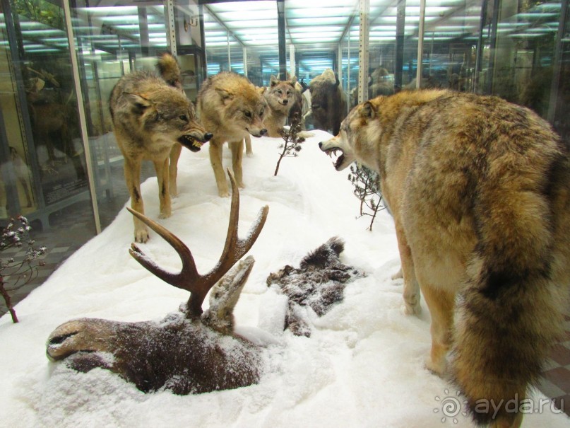 50 мест и событий, которые надо посетить в Петербурге. Часть 2. Осень, зима, весна.