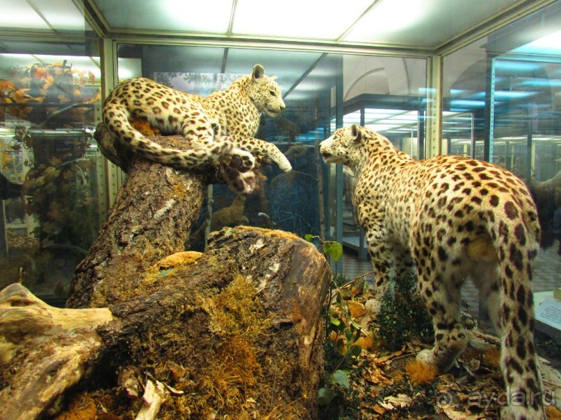 50 мест и событий, которые надо посетить в Петербурге. Часть 2. Осень, зима, весна.