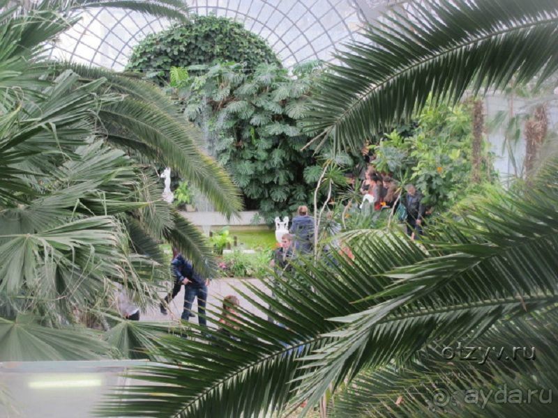 50 мест и событий, которые надо посетить в Петербурге. Часть 2. Осень, зима, весна.