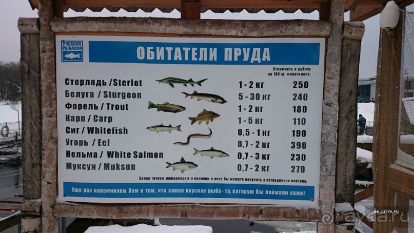 50 мест и событий, которые надо посетить в Петербурге. Часть 2. Осень, зима, весна.