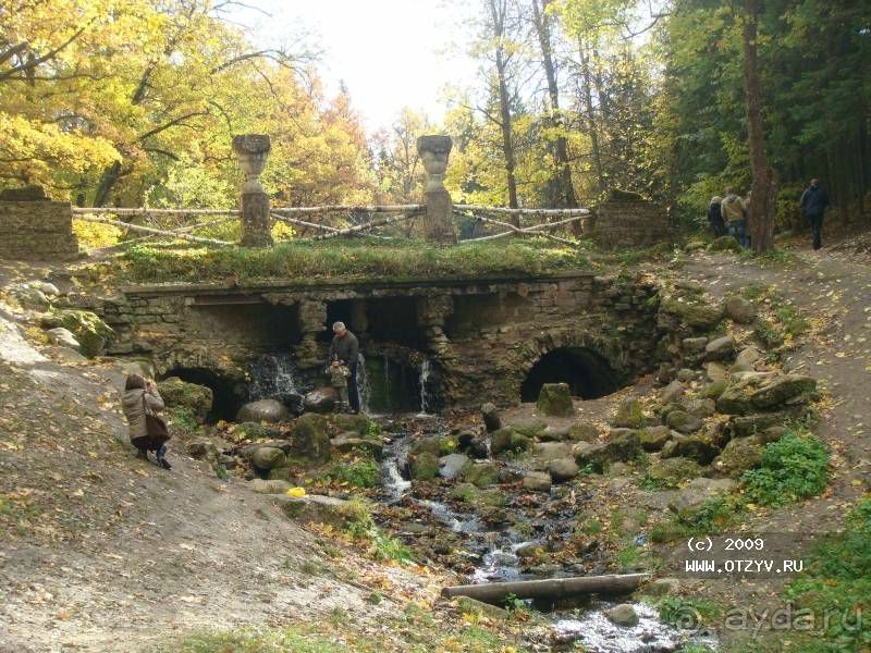 50 мест и событий, которые надо посетить в Петербурге. Часть 2. Осень, зима, весна.