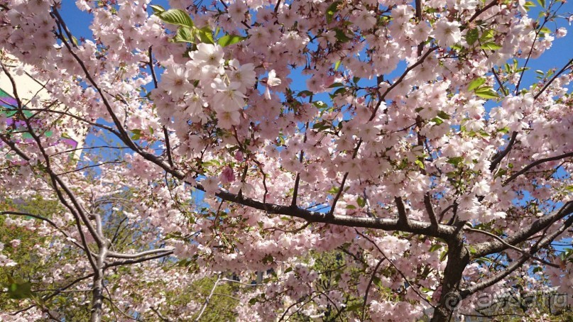 50 мест и событий, которые надо посетить в Петербурге. Часть 2. Осень, зима, весна.