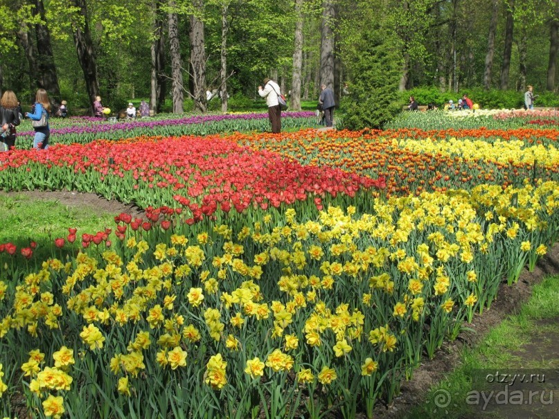 50 мест и событий, которые надо посетить в Петербурге. Часть 2. Осень, зима, весна.