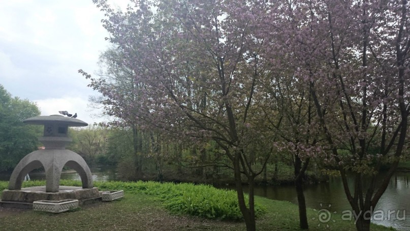 50 мест и событий, которые надо посетить в Петербурге. Часть 2. Осень, зима, весна.