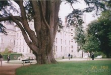 Автобусный тур по Нормандии и замкам в долине Луары