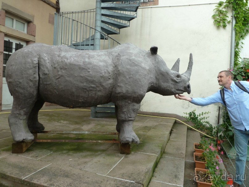 Эльзасские окрестности. Кольмар.