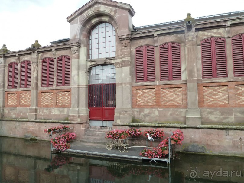 Эльзасские окрестности. Кольмар.