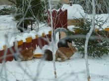В Ригу на Рождество. Второй раз в ту же реку.