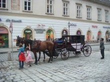 Вена. Неделя в Имперской столице