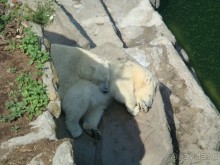 Вена. Неделя в Имперской столице