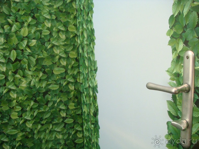 Вена. Неделя в Имперской столице