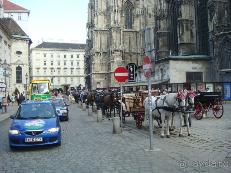 Вена. Неделя в Имперской столице
