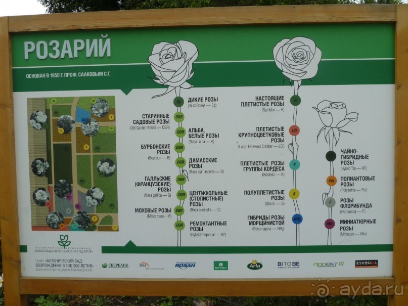 Альбом отзыва "Ботанический сад в Санкт-Петербурге интересен круглый год."