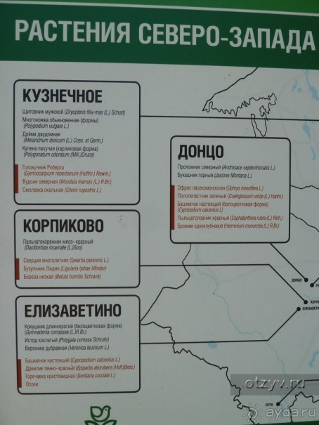 Альбом отзыва "Ботанический сад в Санкт-Петербурге интересен круглый год."