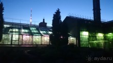 Альбом отзыва "Ботанический сад в Санкт-Петербурге интересен круглый год."