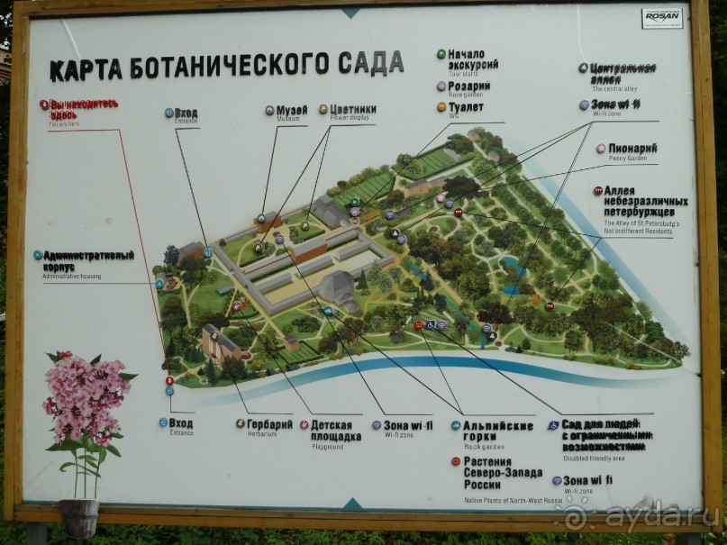 Ботанический сад в Санкт-Петербурге интересен круглый год.