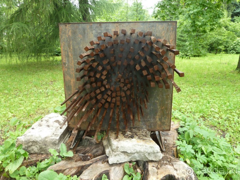 Ботанический сад в Санкт-Петербурге интересен круглый год.